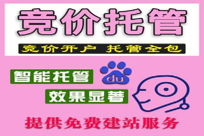 百度品牌广告的创意与执行案例